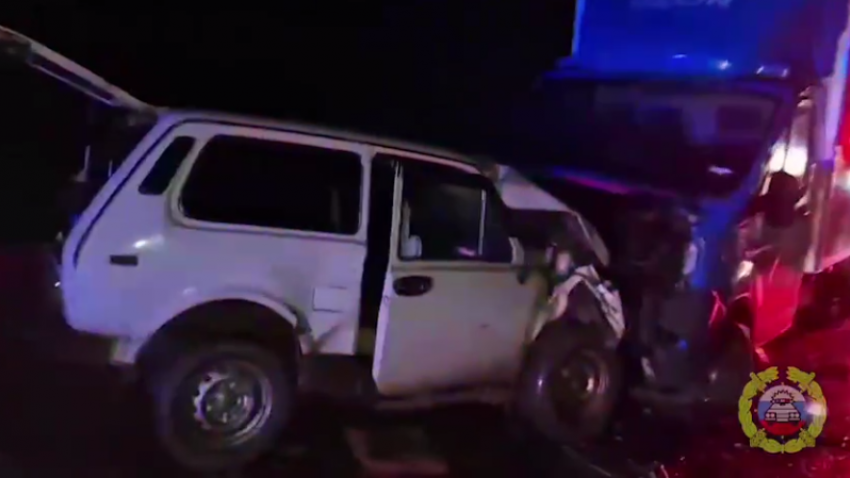 Два человека погибли в лобовом столкновении в Волгоградской области: видео