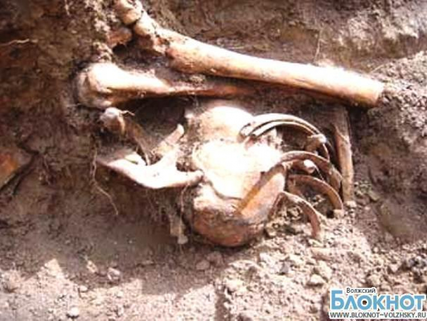 Неопознанные человеческие останки обнаружены в Волгоградской области