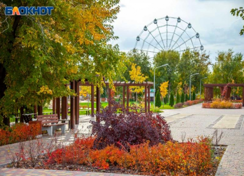 Спокойный осенний день ждет волжан в субботу: прогноз погоды 