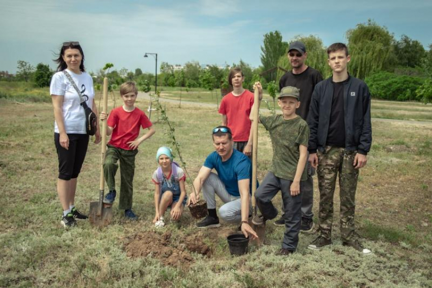 В парке Волжского появилась живая аллея в честь героев СВО