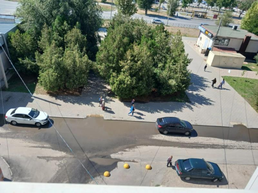 Мэрия Волжского объяснила, как решит проблему у школы № 11