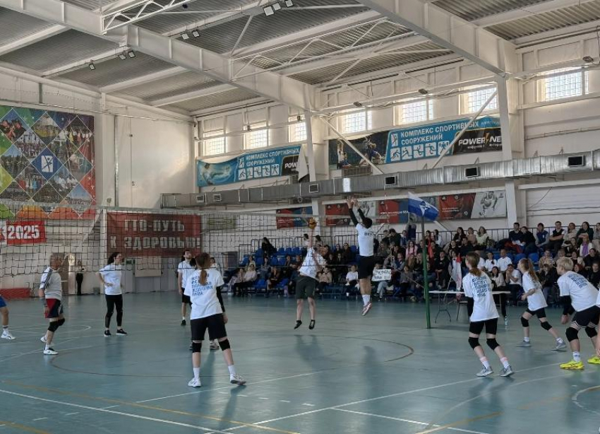В Волжском прошел волейбольный турнир «Кубок юриста – 2026»