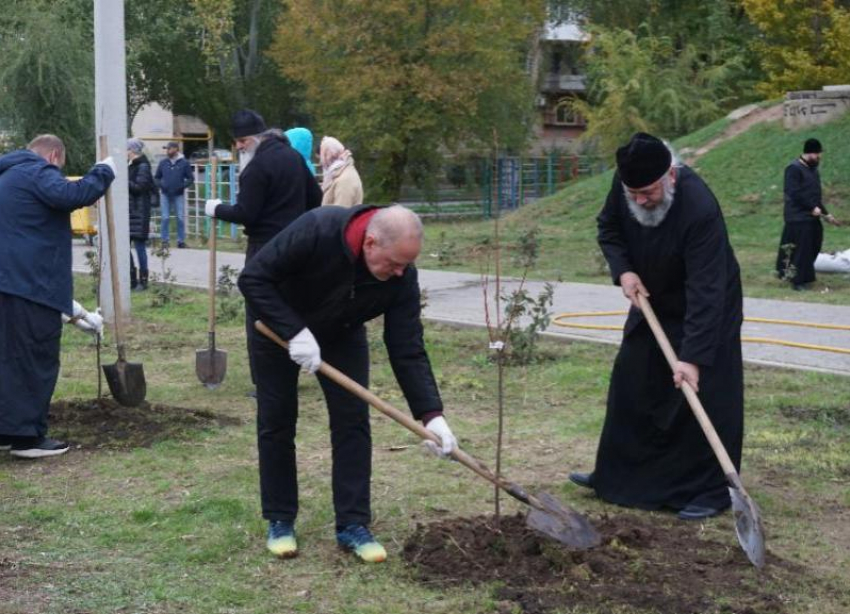 Глава Волжского Игорь Воронин участвует в высадке деревьев в Волжском