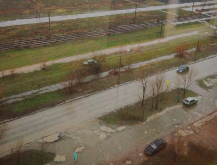 Школьница с собакой попала под машину на «зебре» в Волжском