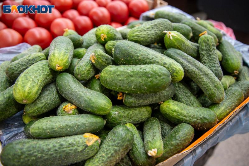 Почти на 17% подорожали огурцы в Волжском: статистика