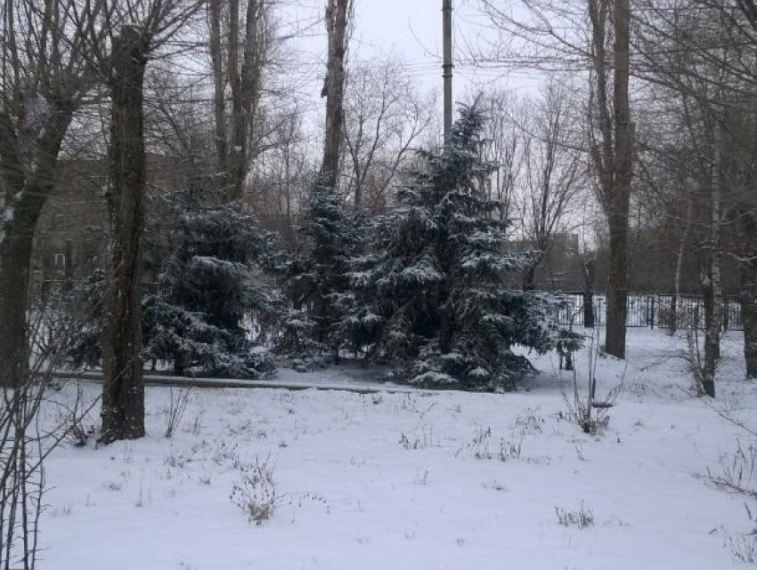 Весь город Волжский ночью завалило снегом