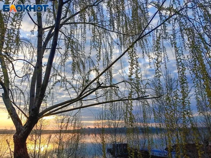 Вторник будет дождливым: прогноз погоды в Волжском