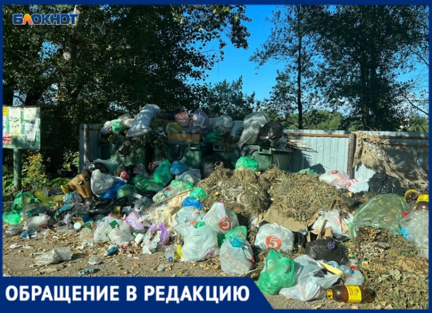 В Волжском образовалась свалка: жители жалуются на вывоз мусора в СНТ «Урожай»