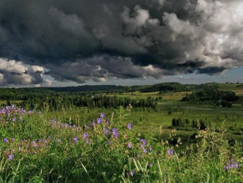 Понедельник в Волжском будет жарким, но облачным