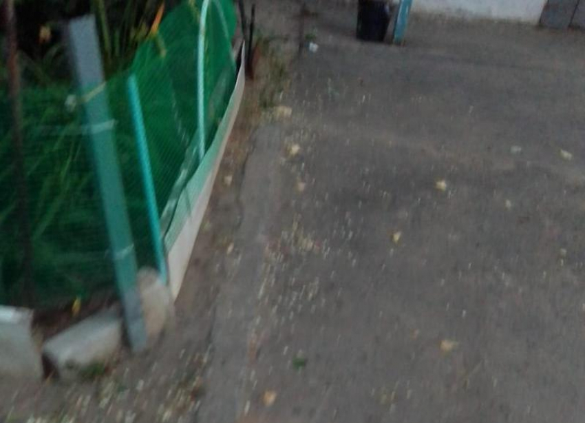 Мертвые птицы и трупный смрад: как живут люди в одном из МКД Волжского