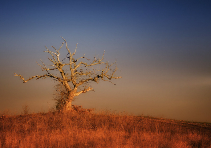 До +39 градусов: волжан ждет знойный понедельник