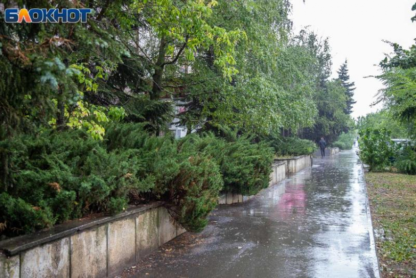 Дожди не покидают Волжский: прогноз погоды