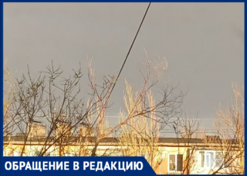 «Ждут трагедии»: в Волжском деревья могут рухнуть на головы прохожим вместе с проводами