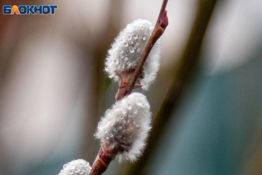 В Волжский вернулся проливной дождь: прогноз погоды на 16 апреля