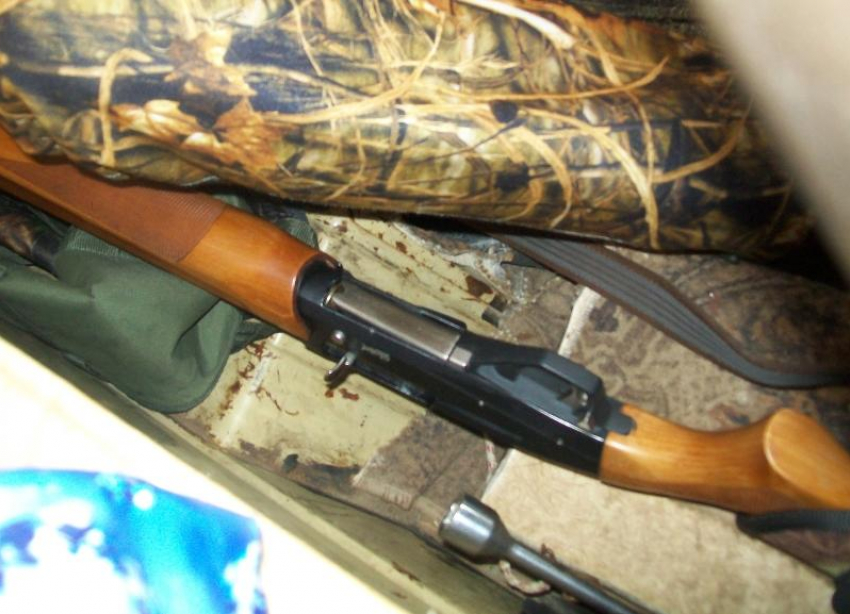 Браконьеры рискуют получить до 5 лет тюрьмы за убийство самки кабана в заповеднике под Волжским