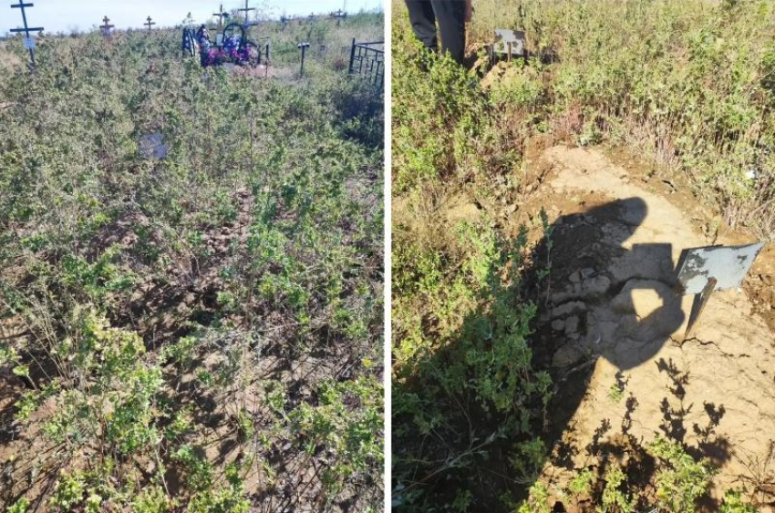«Ещё год-два — и здесь снова будет степь»: в Волжском заростают бесхозные могилы