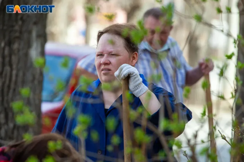 Волжский выйдет на большой субботник 25 апреля
