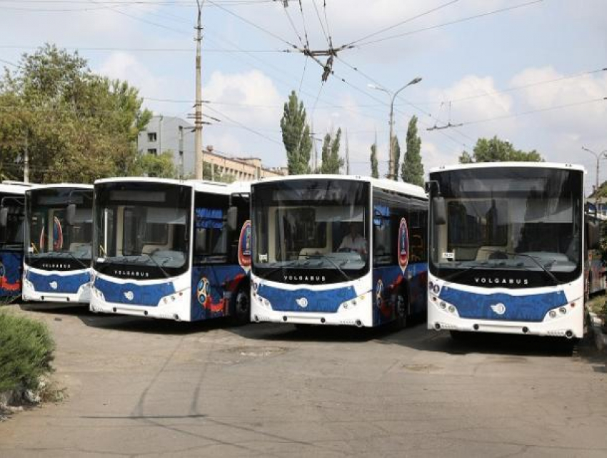 Волжские болельщики поедут на автобусах-шаттлах в день матча