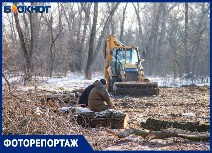 Законно ли строить коттеджи на месте вырубки в Киляковке? Как жители Волжского защищают лес и вмешается ли губернатор