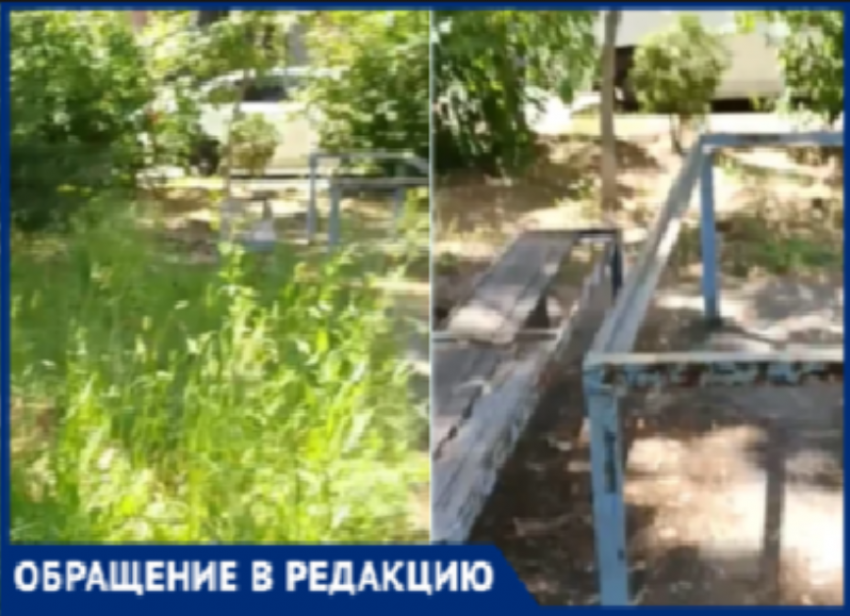 «Нога человеческая не проходила»: волжанка сняла на видео двор на Карбышева с травой по пояс и гнилыми лавочками