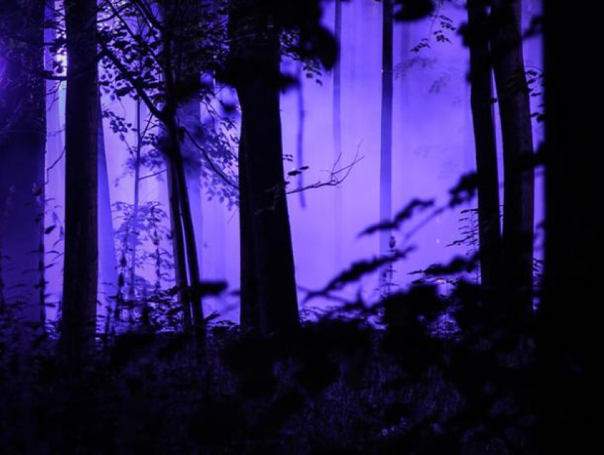 Горожанам  предлагают рассказать мистические истории о  Волжском 