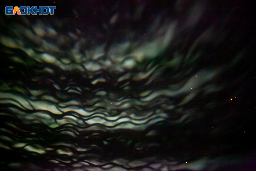 Время эмоциональных бурь и внутренних открытий: гороскоп на 23 октября