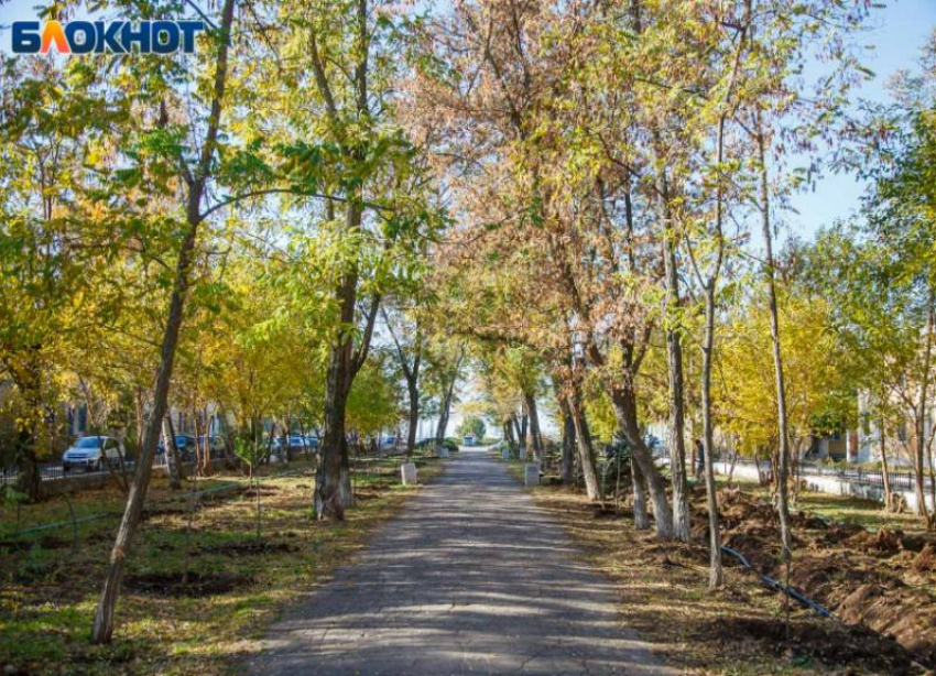 Солнечно и прохладно будет в среду в Волжском: прогноз погоды