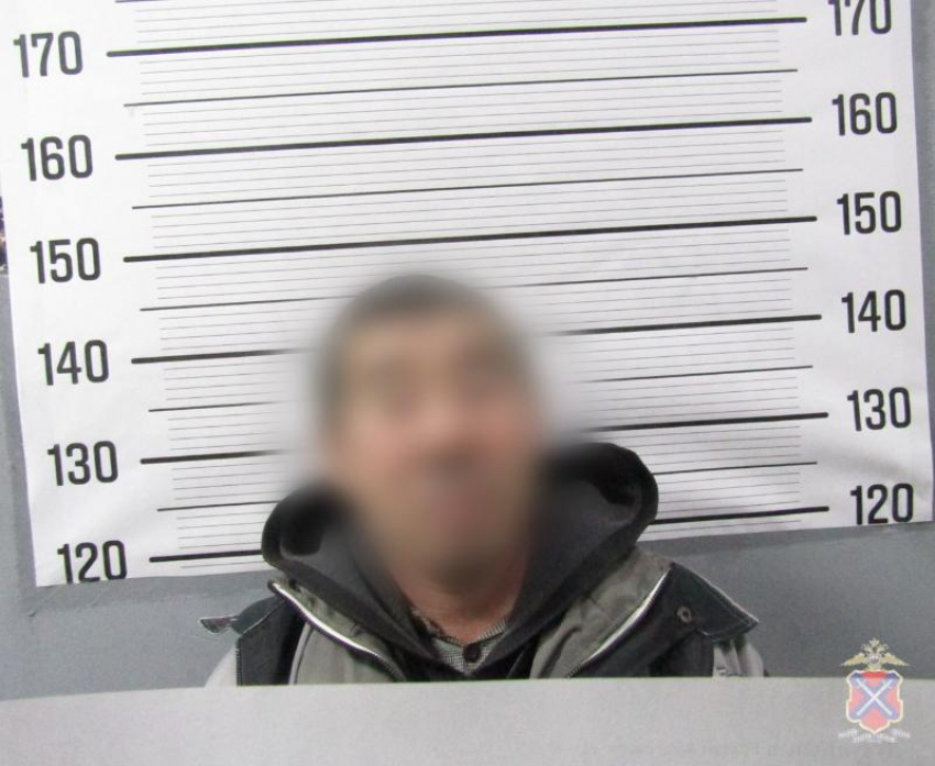 В Волжском пьяный дебошир ответил за «покушение» на суслика