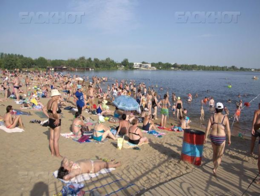 ﻿Прокуратура потребовала, чтобы мэрия Волжского вмешалась в ситуацию с платным пляжем на Зеленом 