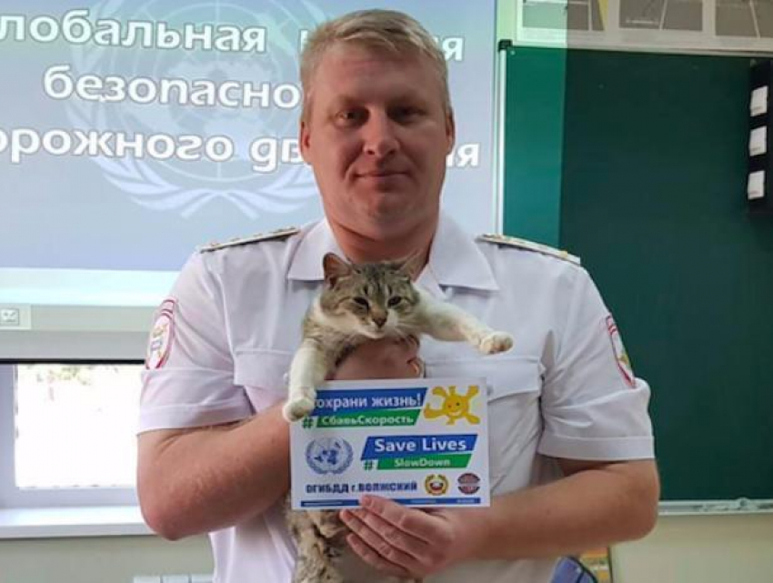  Сотрудники ГИБДД в Волжском призвали водителей сбавить скорость с помощью кота 