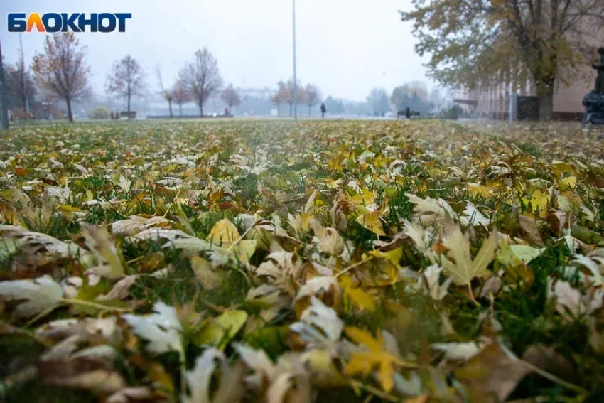 Каким будет воскресенье в Волжском?