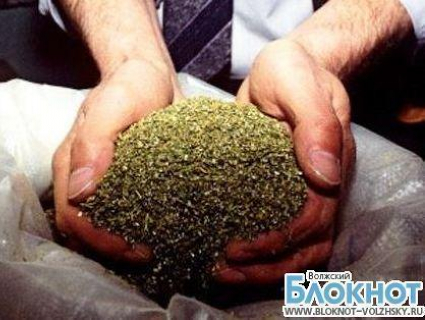В домовладении жителя Ленинского района оперативники изъяли более 1,5 килограммов марихуаны