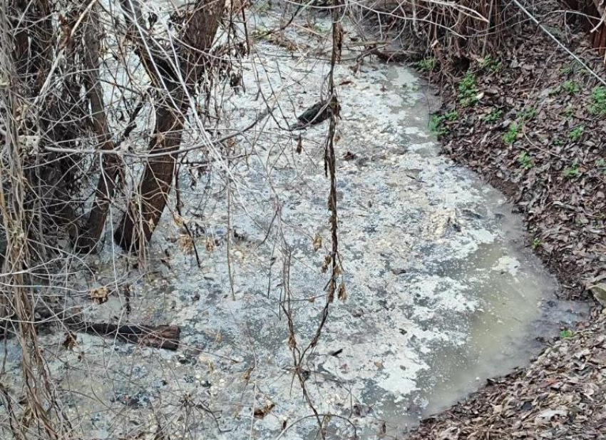 Прокуратура начала проверку сброса в реку канализации у ГСК после публикации «Блокнот Волжский»