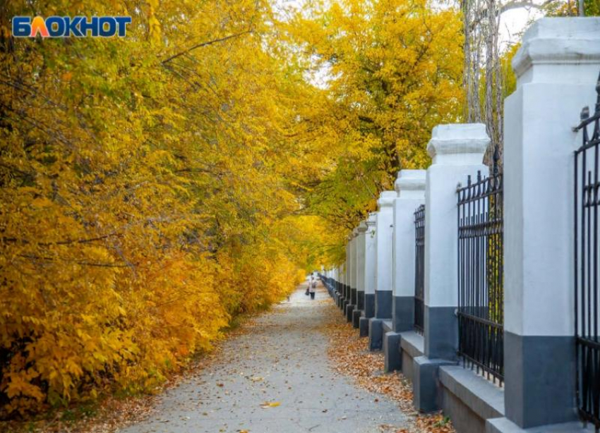 Туманно и холодно: прогноз погоды на воскресенье в Волжском