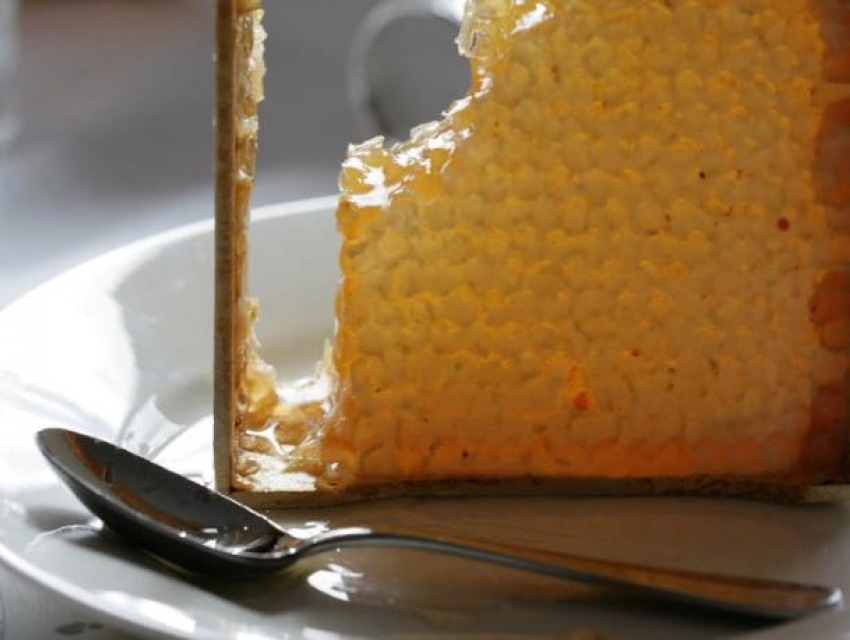 Советы от «Блокнота»: выбираем правильный мед