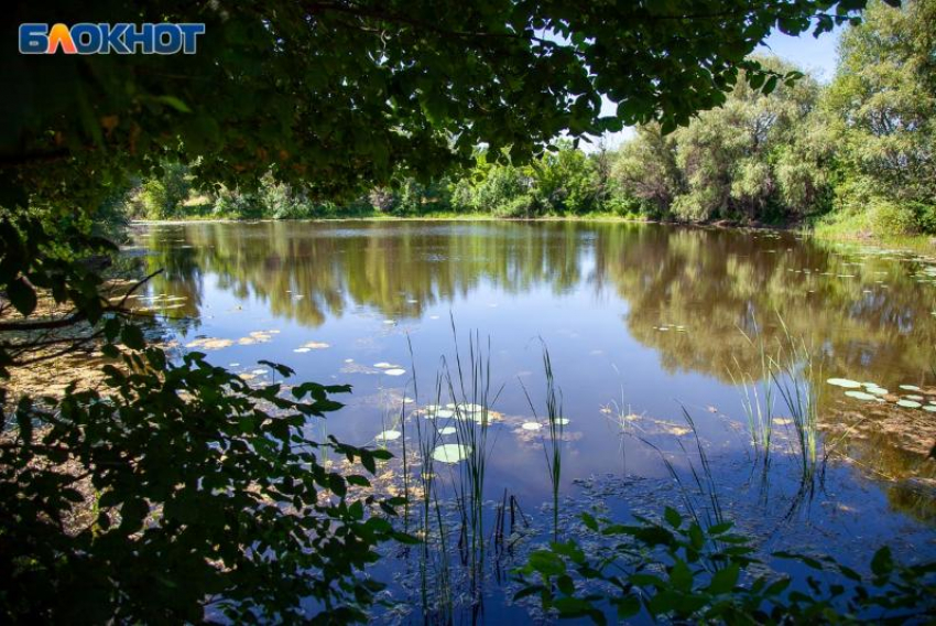 Жаркий четверг обещают волжанам: прогноз погоды