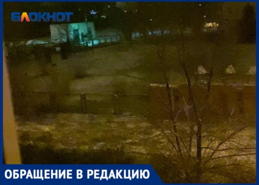 «Всю ночь лают и разгуливают стаями»: в Волжском собаки не дают спокойно жить в 24 микрорайоне