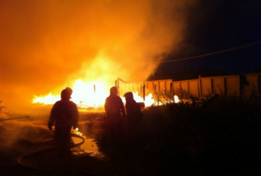 Под Волгоградом злоумышленники сожгли загон с домашними животными