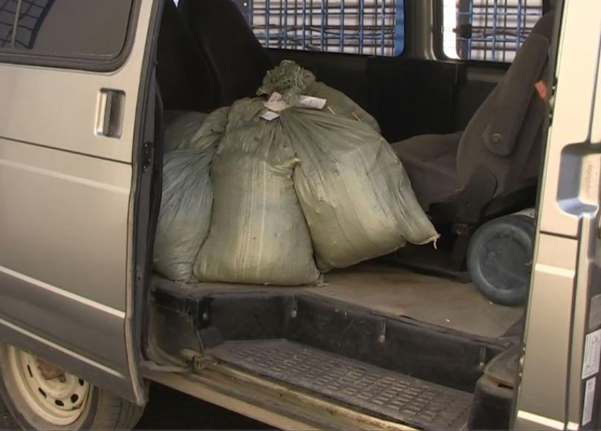 Под Волжским сотрудники полиции сожгли более 8 кг конопли и марихуаны