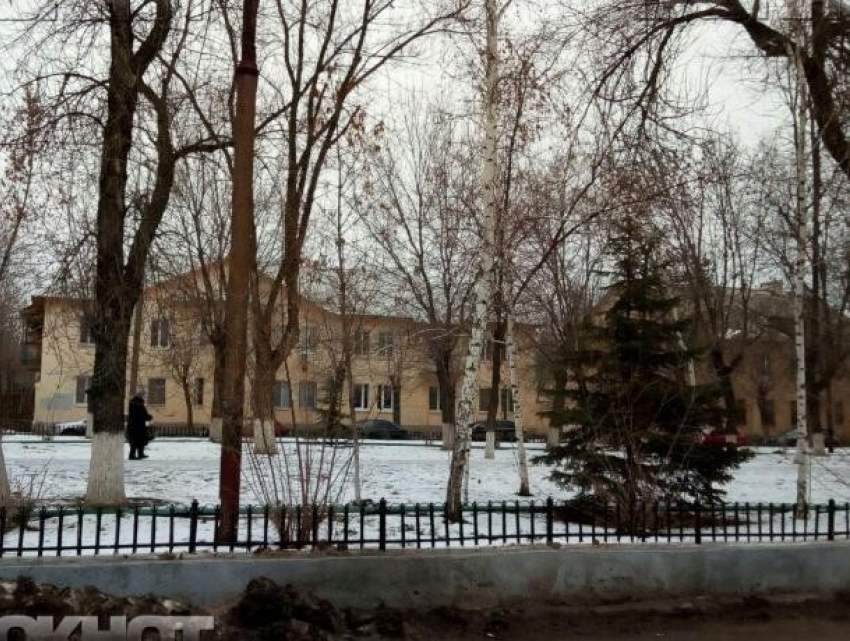 Мороз и солнце пообещали волжанам в День зубного врача