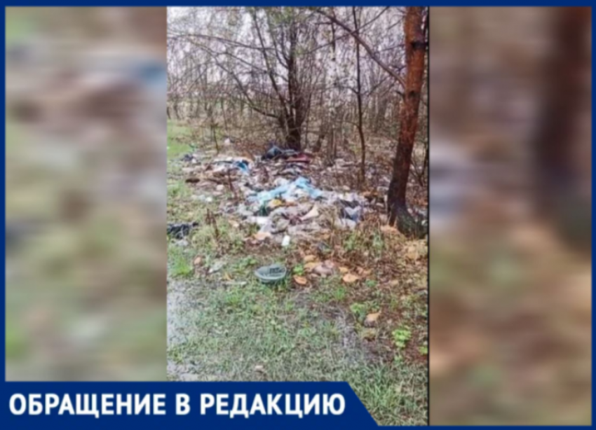 Березовая роща в Волжском превратилась в свалку