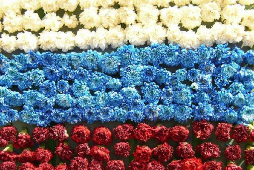 День России в Волжском будет многонациональным и спортивным