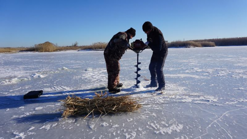 В Волгоградской области спасают рыбу от кислородного голодания