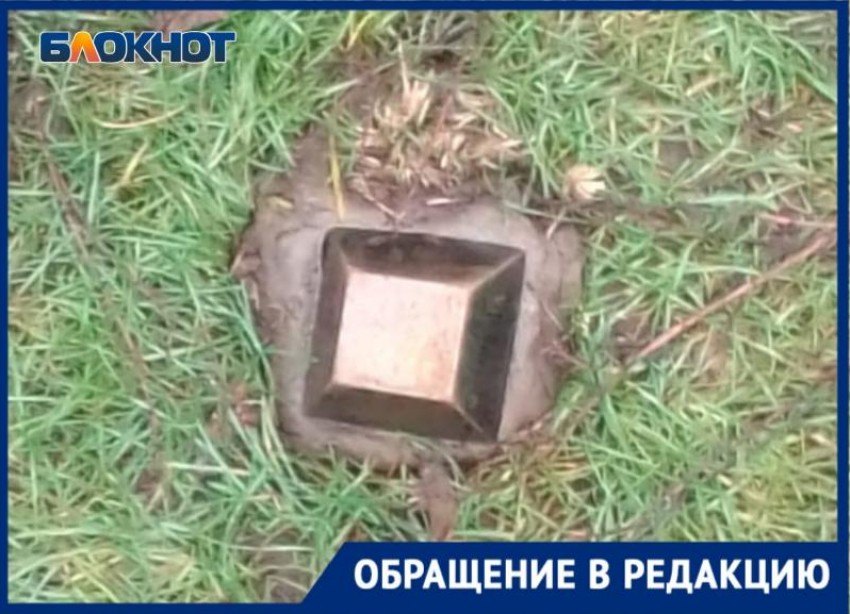 У суслика-футболиста в Волжском QR-код «свистнули»: видео