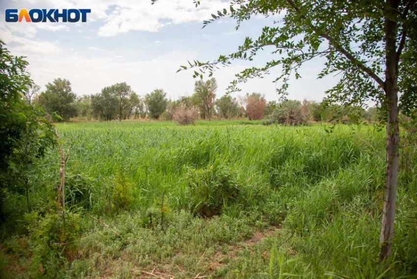 Журавлиный зов и клюквенные тайны: что нельзя делать 13 сентября