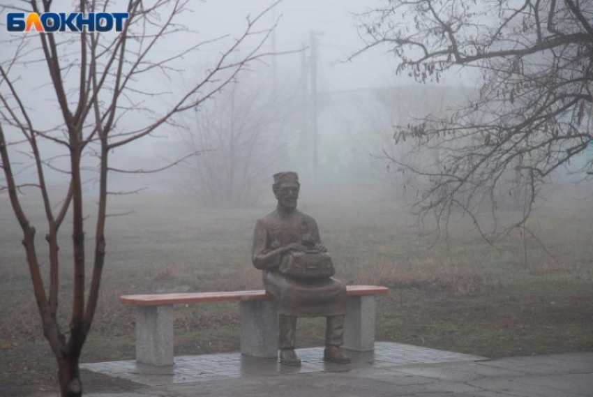 Волжские активисты раскритиковали проект установки «типового» памятника Айболиту