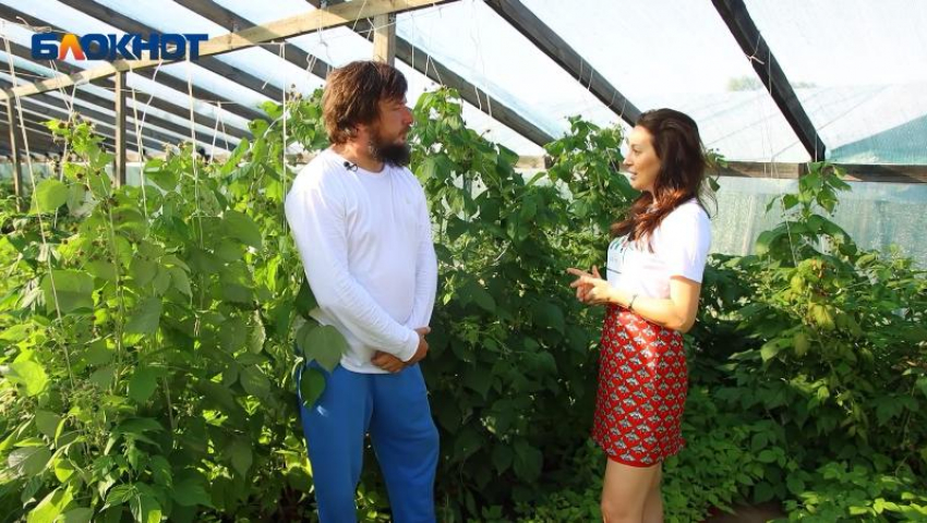 Новые горизонты «Ягоднича»: сбор урожая, пруд с водными растениями и расширение географии поставок 