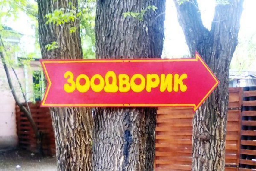 Истерика вокруг зоодворика в Волжском оказалась напрасной