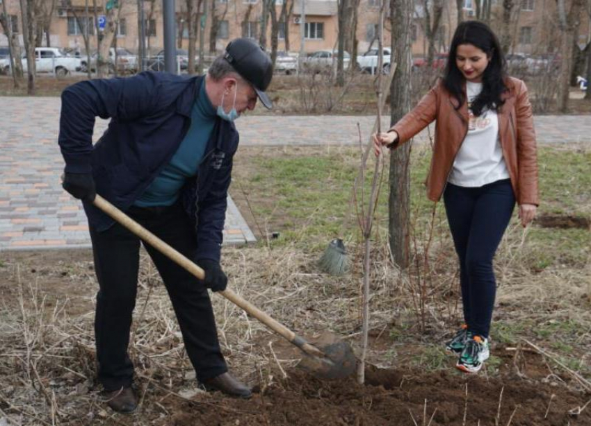 Новые деревья высадили в Волжском 