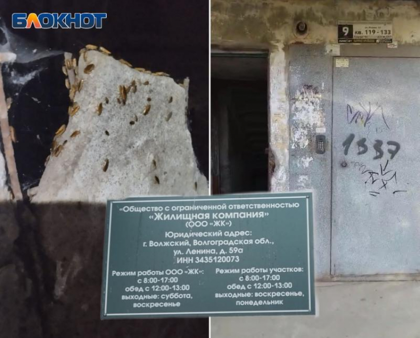 В Волжском затопило дом, где в подвале жили бомжи: видео 